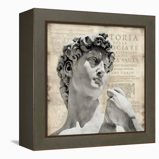 Renaissance II-Oliver Jeffries-Framed Stretched Canvas