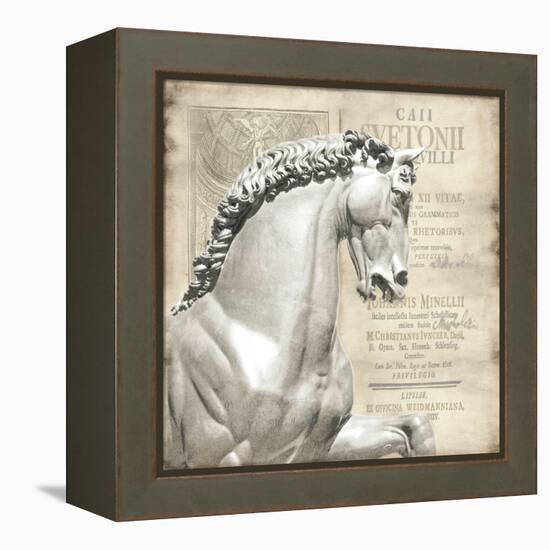 Renaissance IV-Oliver Jeffries-Framed Stretched Canvas