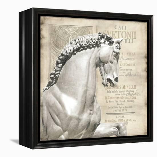 Renaissance IV-Oliver Jeffries-Framed Stretched Canvas