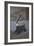 Renaissance-Banksy-Framed Giclee Print