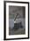 Renaissance-Banksy-Framed Giclee Print