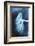 Renal Blood Vessels, X-ray-null-Framed Photographic Print