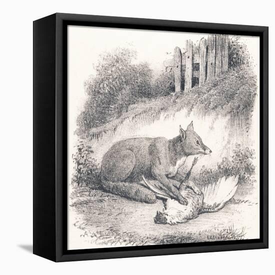 Renard, 1850 (Engraving)-Louis Simon (1810-1870) Lassalle-Framed Premier Image Canvas