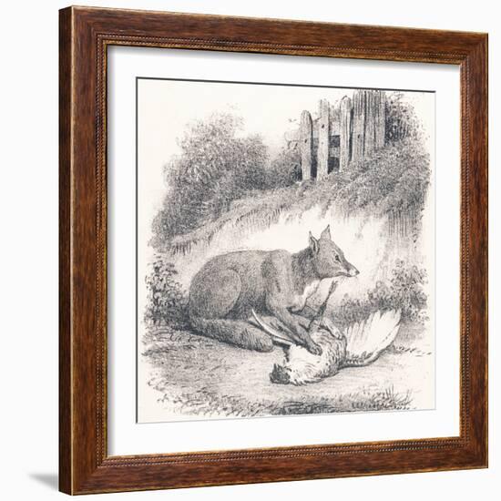 Renard, 1850 (Engraving)-Louis Simon (1810-1870) Lassalle-Framed Giclee Print