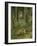 Renard Mort Sous Bois-Edgar Degas-Framed Giclee Print