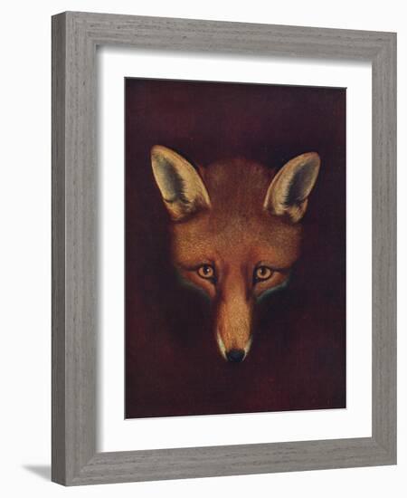 'Renard the Fox', c1800, (1922)-Philip Reinagle-Framed Giclee Print