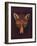 'Renard the Fox', c1800, (1922)-Philip Reinagle-Framed Giclee Print