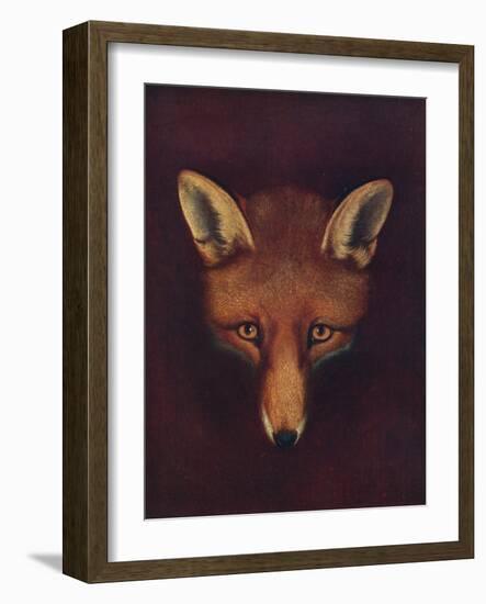 'Renard the Fox', c1800, (1922)-Philip Reinagle-Framed Giclee Print