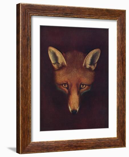 'Renard the Fox', c1800, (1922)-Philip Reinagle-Framed Giclee Print