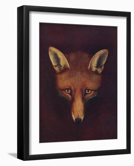 'Renard the Fox', c1800, (1922)-Philip Reinagle-Framed Giclee Print