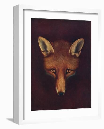 'Renard the Fox', c1800, (1922)-Philip Reinagle-Framed Giclee Print