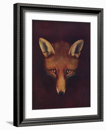 'Renard the Fox', c1800, (1922)-Philip Reinagle-Framed Giclee Print