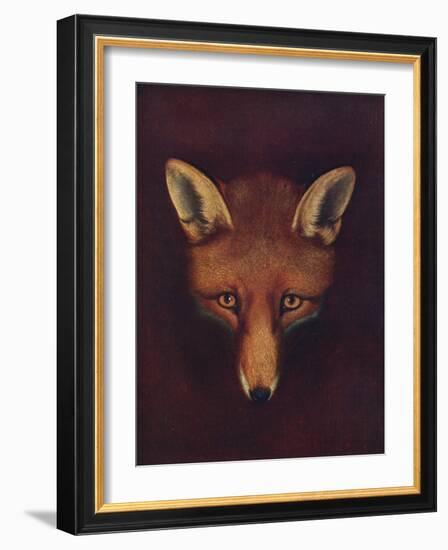 'Renard the Fox', c1800, (1922)-Philip Reinagle-Framed Giclee Print