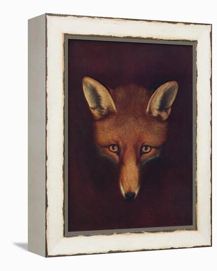 'Renard the Fox', c1800, (1922)-Philip Reinagle-Framed Premier Image Canvas