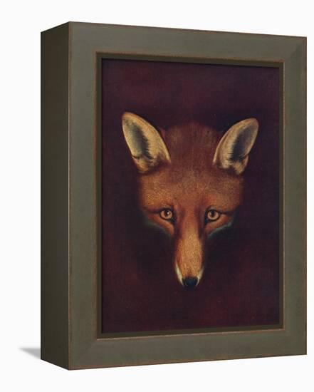 'Renard the Fox', c1800, (1922)-Philip Reinagle-Framed Premier Image Canvas