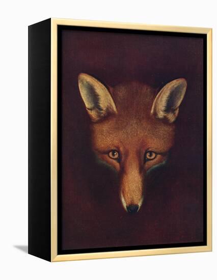 'Renard the Fox', c1800, (1922)-Philip Reinagle-Framed Premier Image Canvas