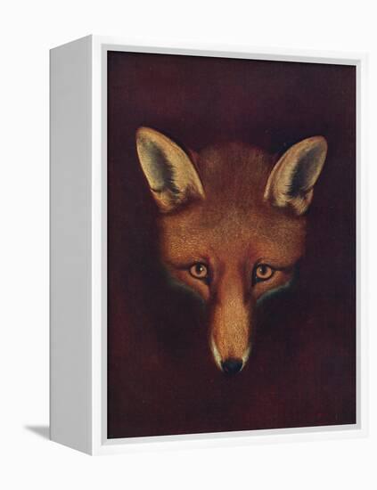 'Renard the Fox', c1800, (1922)-Philip Reinagle-Framed Premier Image Canvas