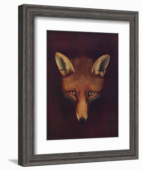 'Renard the Fox', c1800, (1922)-Philip Reinagle-Framed Giclee Print