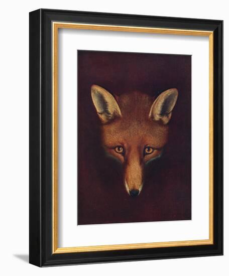 'Renard the Fox', c1800, (1922)-Philip Reinagle-Framed Giclee Print