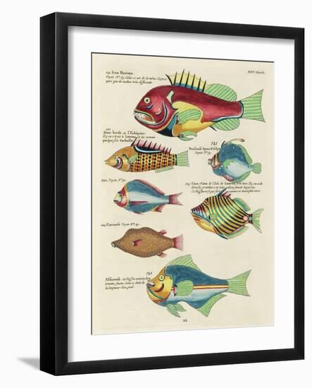 Renard Tropical Fish III-Louis Renard-Framed Art Print