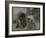 Renards-Pieter Boel-Framed Giclee Print