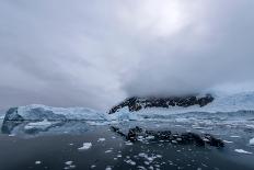 Floating Ice Mountains and Coastline Neko Harbour Antarctic Peninsula Antarctica-Renato Granieri-Photographic Print