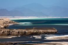 California Sea Lion Los Islotes, Baja California, Mexico-Renato Granieri-Photographic Print