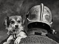 Dog's Best Friend.-Renato J.-Premier Image Canvas