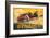 Renault-De Bay-Framed Art Print