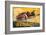 Renault-De Bay-Framed Art Print