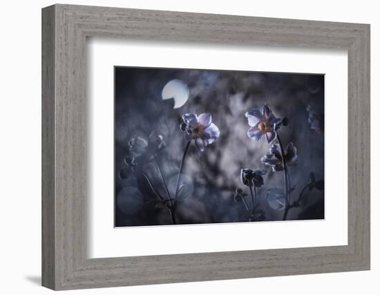 Rencontre au Clair de Lune-Fabien Bravin-Framed Photographic Print