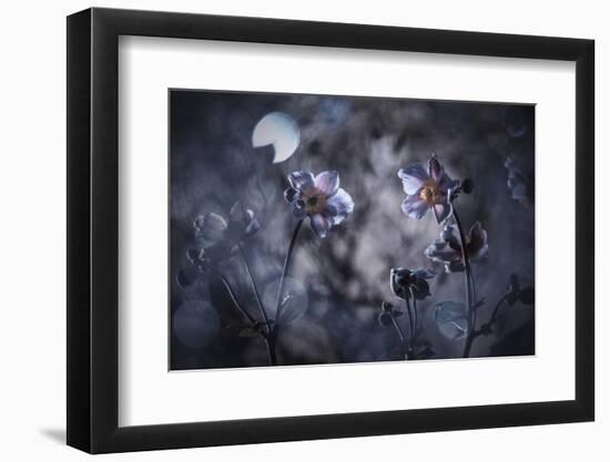 Rencontre au Clair de Lune-Fabien Bravin-Framed Photographic Print