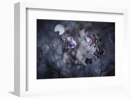 Rencontre au Clair de Lune-Fabien Bravin-Framed Photographic Print