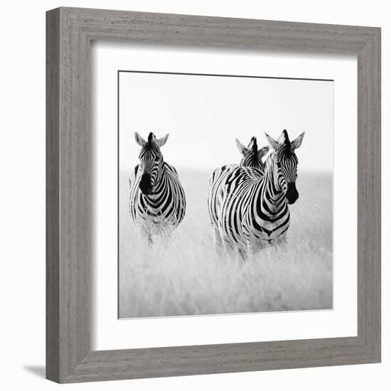 Rendezvous I-Nina Papiorek-Framed Art Print