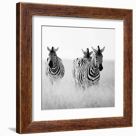 Rendezvous I-Nina Papiorek-Framed Art Print