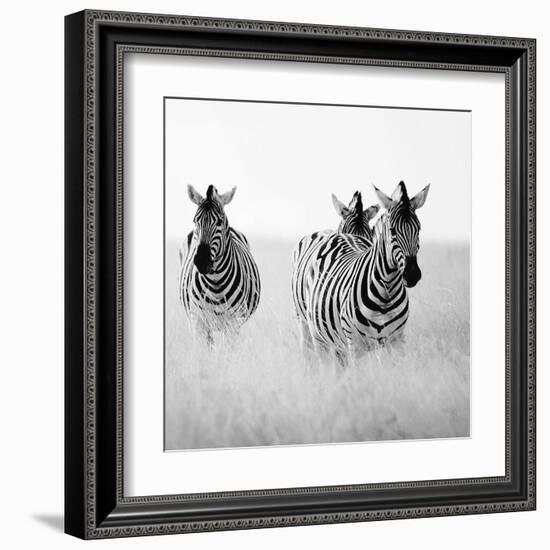 Rendezvous I-Nina Papiorek-Framed Art Print