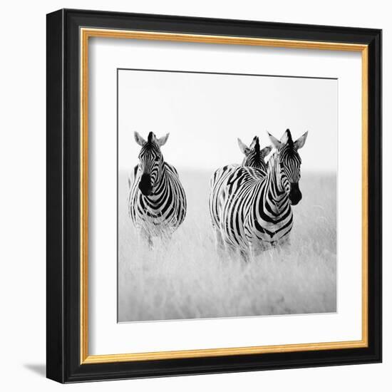 Rendezvous I-Nina Papiorek-Framed Art Print