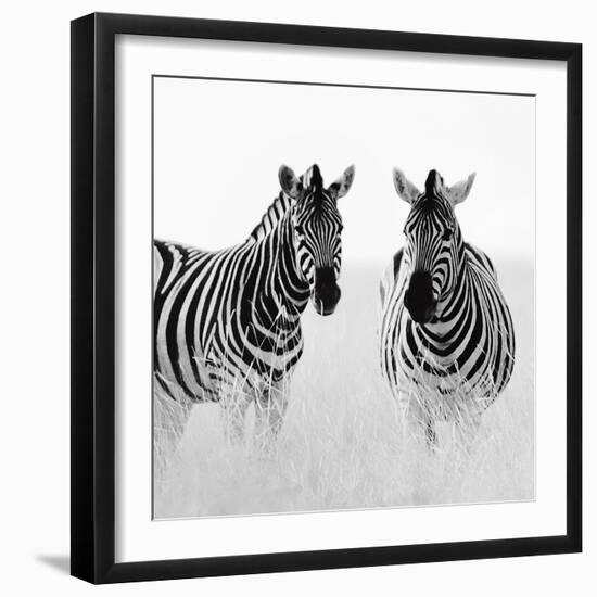 Rendezvous II-Nina Papiorek-Framed Art Print