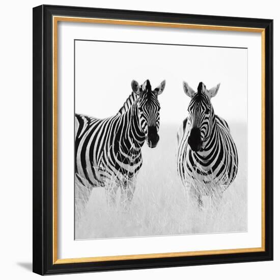 Rendezvous II-Nina Papiorek-Framed Art Print