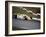 Rene Arnoux Racing a Renault Re20, British Grand Prix, Brands Hatch, 1980-null-Framed Photographic Print