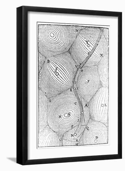 Rene Descartes Model of the Structure of the Universe, 1668-null-Framed Giclee Print