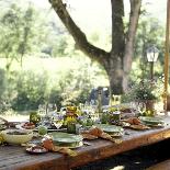 An Outdoor Table Setting with a Vegetarian Meal-Renée Comet-Mounted Photographic Print