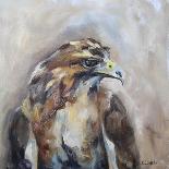 Red Tail Hawk-Renee Gould-Framed Giclee Print