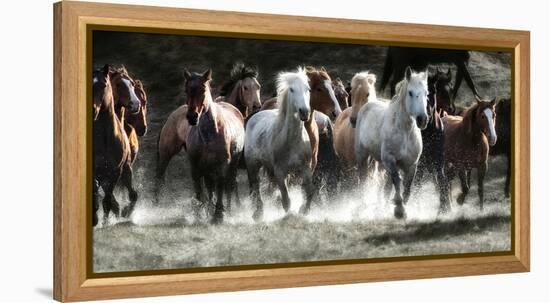 Renegades-Lisa Dearing-Framed Premier Image Canvas