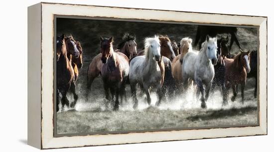 Renegades-Lisa Dearing-Framed Premier Image Canvas