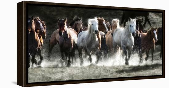 Renegades-Lisa Dearing-Framed Premier Image Canvas