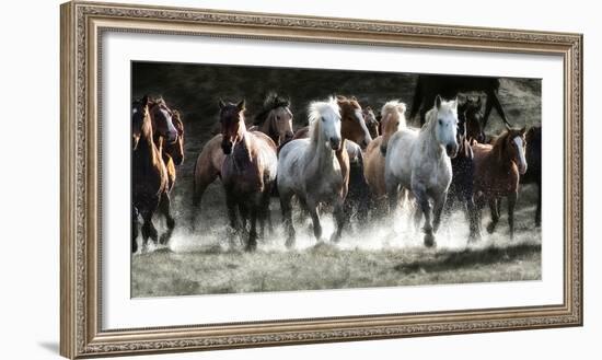 Renegades-Lisa Dearing-Framed Premium Photographic Print