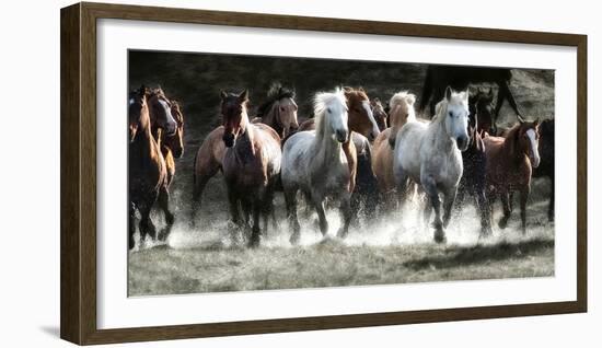 Renegades-Lisa Dearing-Framed Premium Photographic Print