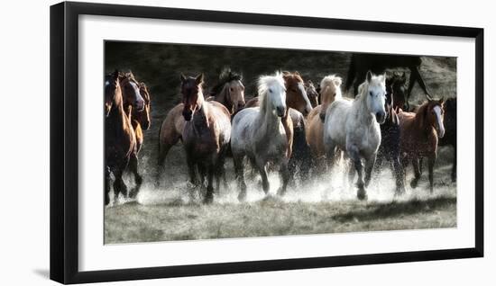 Renegades-Lisa Dearing-Framed Premium Photographic Print