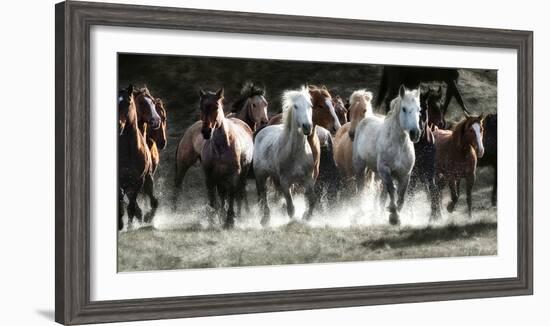 Renegades-Lisa Dearing-Framed Photographic Print